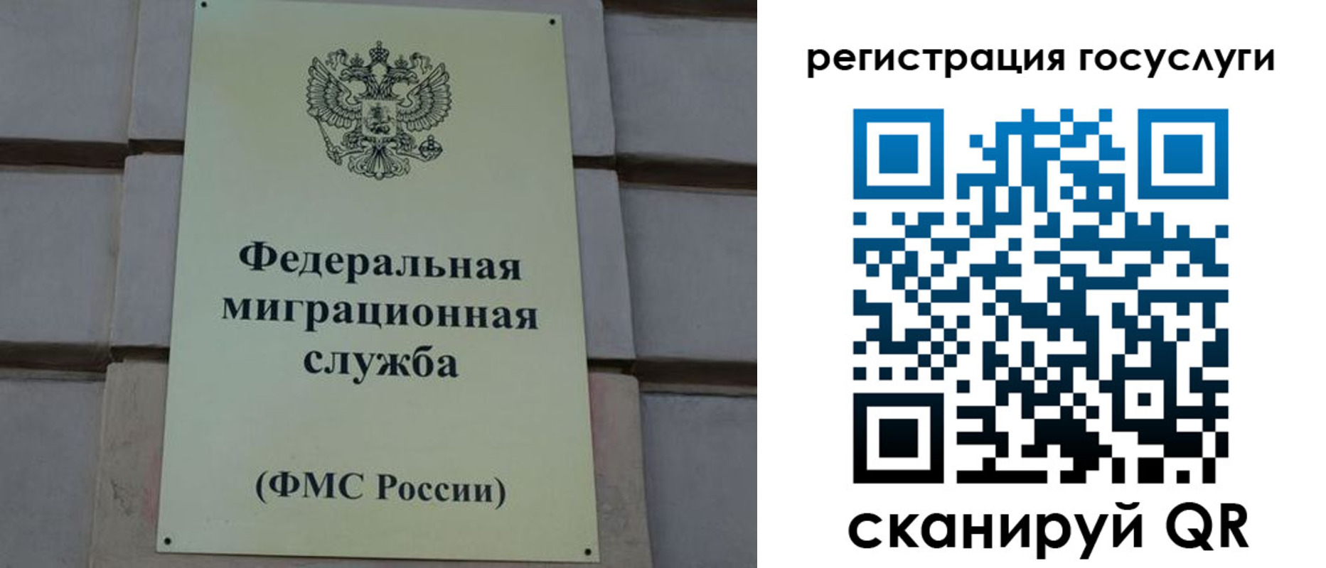 временная регистрация поиск в Жигулёвске